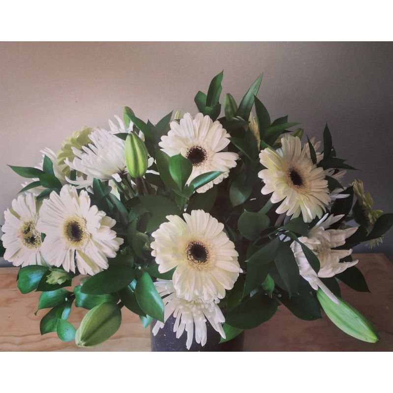 GERBERAS CON LILIUM Y RUSCUS BASE DE PLASTICO