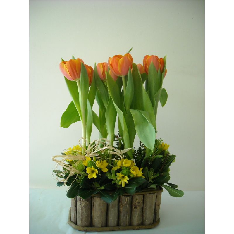 10 TULIPANES CON MABLE EN BASE DE MADERA