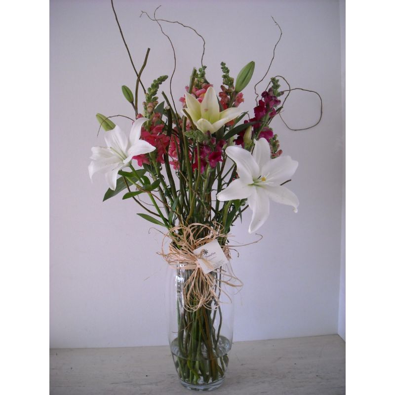 LILIUM PERROS Y SAUCE