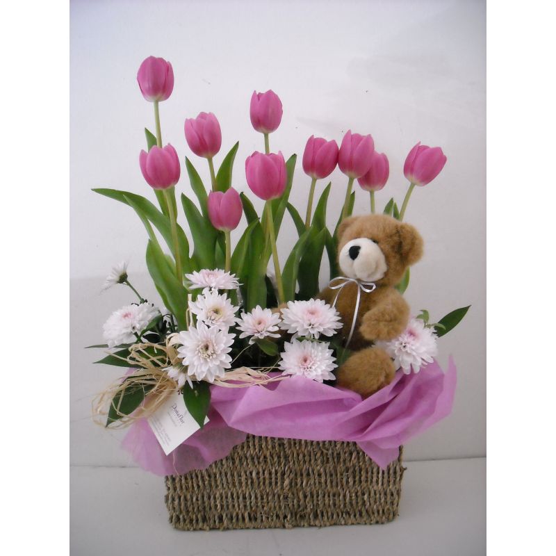 10  TULIPANES  MABLE  OSO