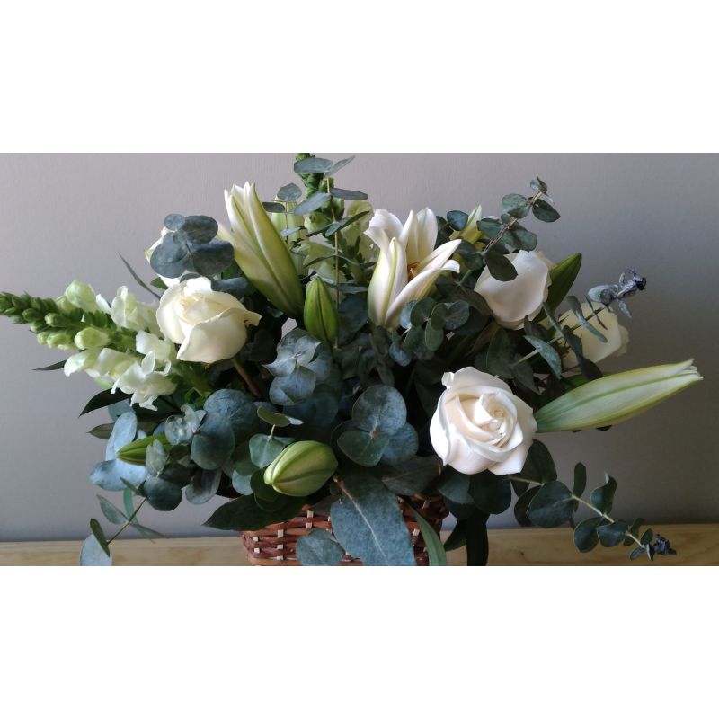  ROSAS PERROS FOLLAJE LILIUM