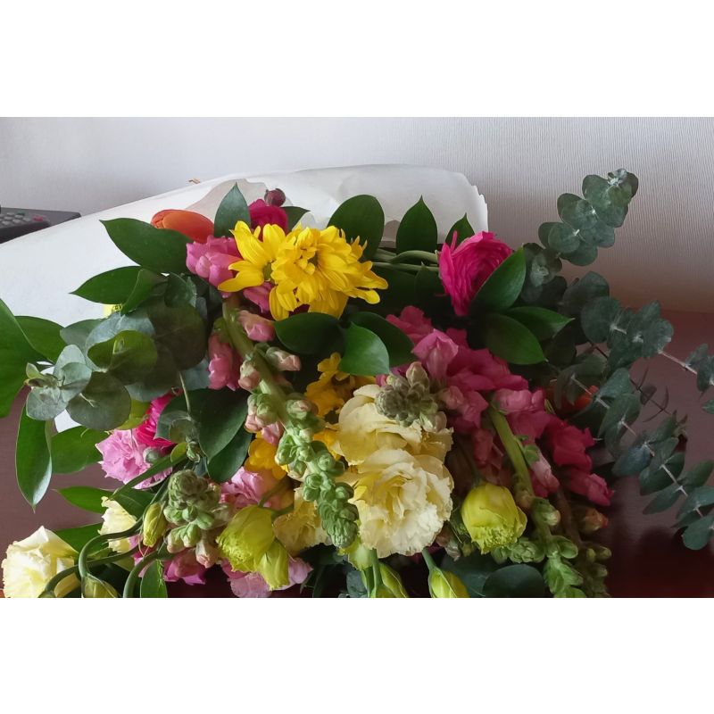 PERROS MABLE LIISANTHUS