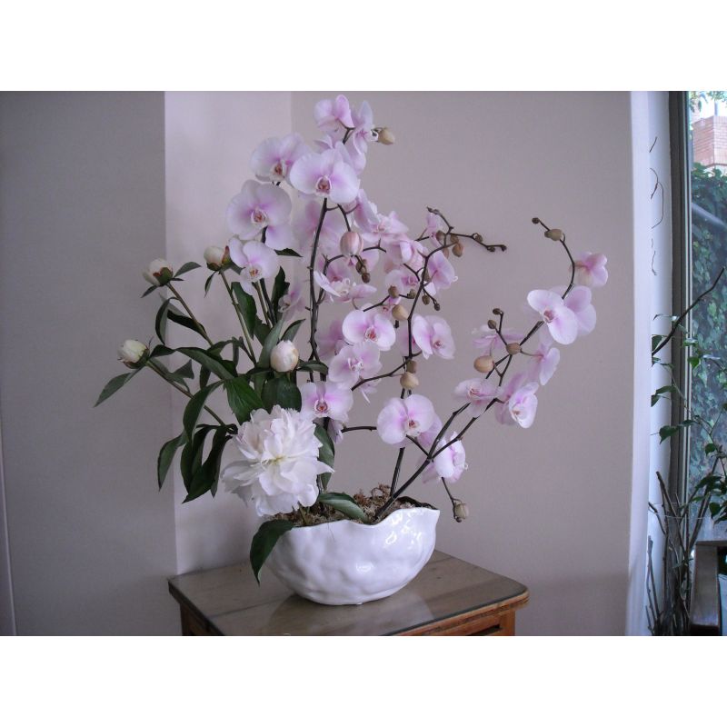 ARREGLO DE 2 ORQUIDEAS 