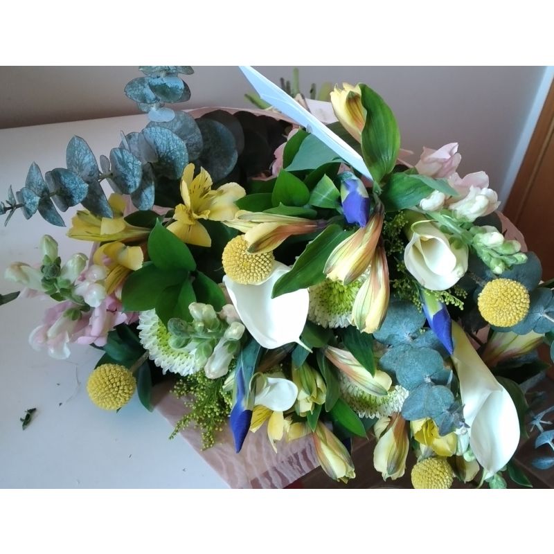 ALSTROEMELIA CALAS BLANCA MABLE EUCALIPTOS