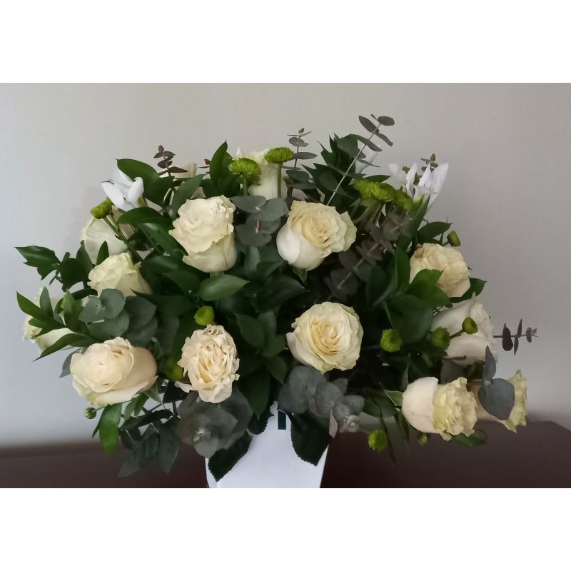 25 R0SAS IRIS RUSCUS MABLE EUCALIPTOS MABLE