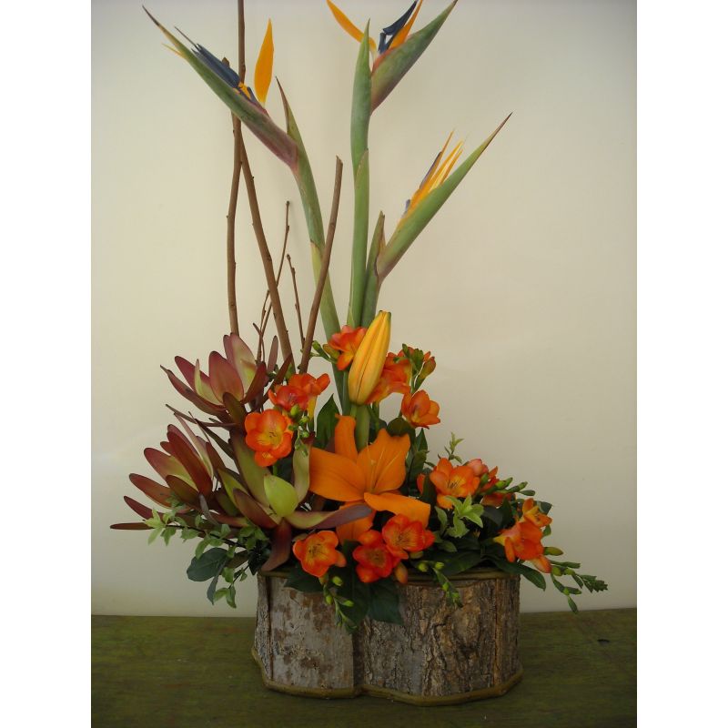 BASE DE MADERA CON FLOR DEL PAJARO EUCADENDRO LILIUM Y FRESIAS