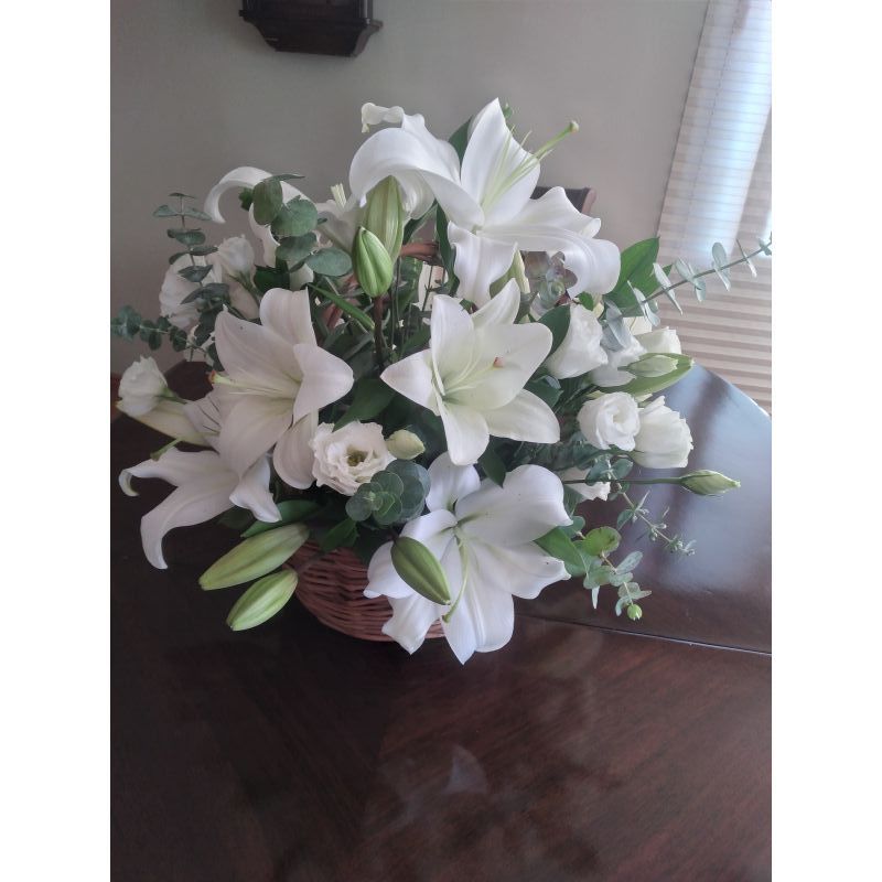 LILIUM BASE DE MADERA