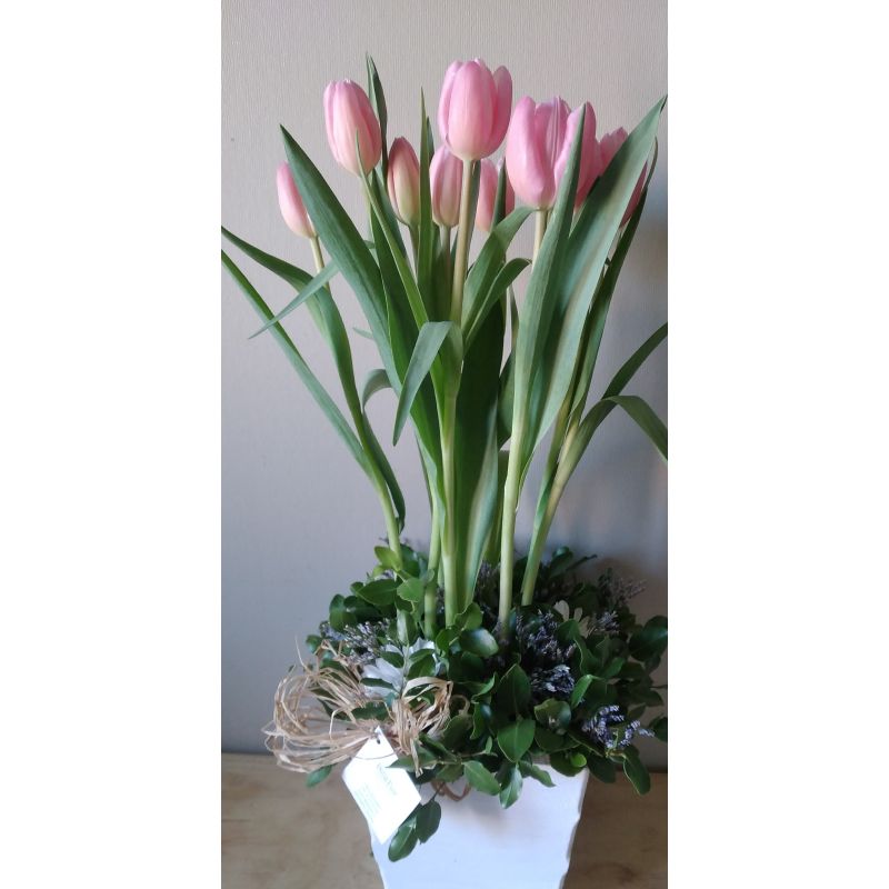 10 TULIPANES RUSCUS EN BASE DE MADERA