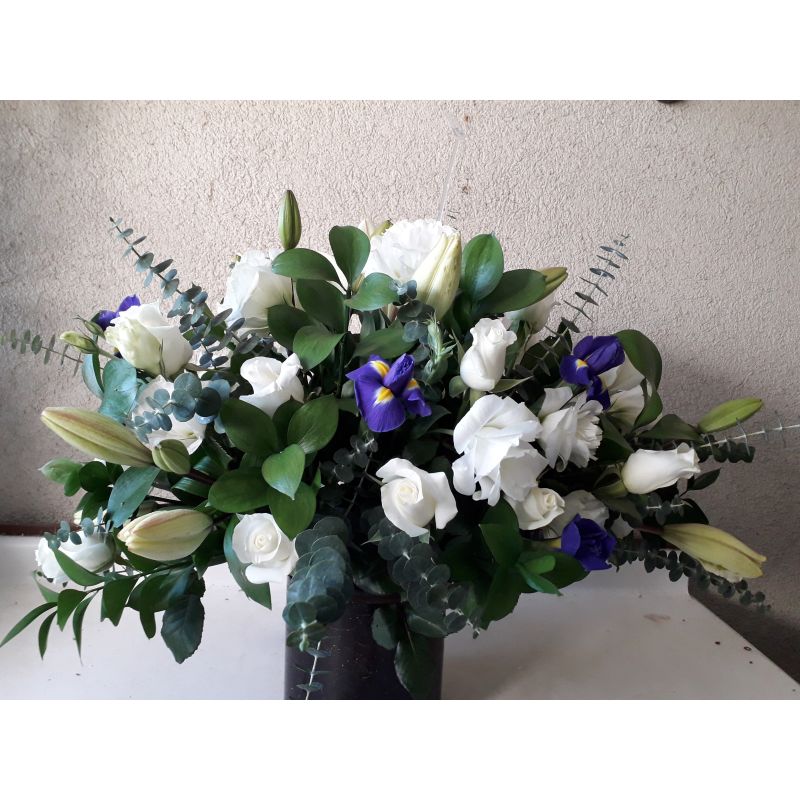 LIISIANTHUS IRIS AZULES FOLLAJE